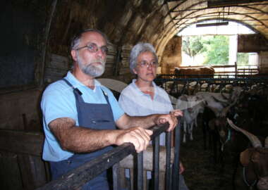 La Ferme de l’Airette
