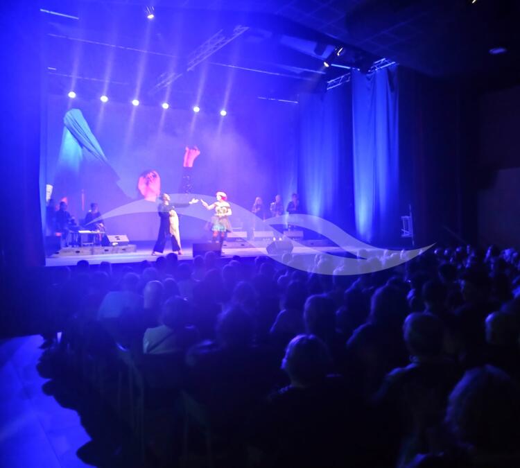 Organisation d'évènements et diffusion de spectacles.