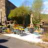 M0371 | HOTEL-RESTAURANT-BAR-LICENCE IV EN CEVENNES