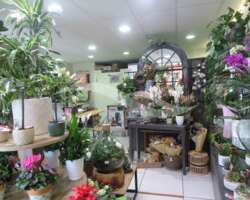 Fonds artisanal - Fleuriste