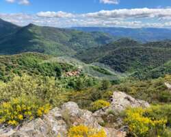 Hectares à disposition pour pastoralisme ou production castanéicole