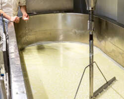 Laiterie – Fromagerie de montagne