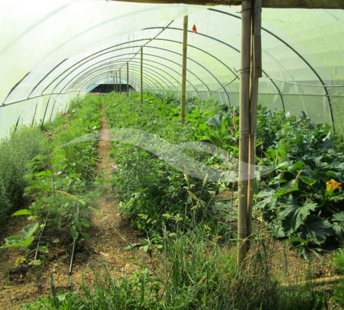 img-5398-60dae9c8f0258490874121.jpg | 2